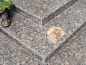 Preview: Außentreppe aus finischen Baltic brown Granit