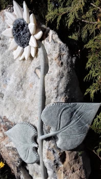 Preview: Sonnenblume