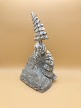 Preview: Taki no ishi 1