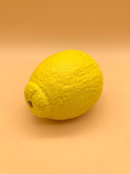 Obst - Deko Zitrone