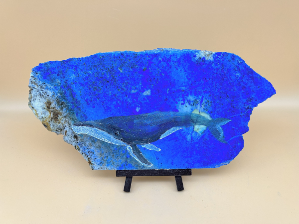 Buckelwal in der Tiefe des Meeres