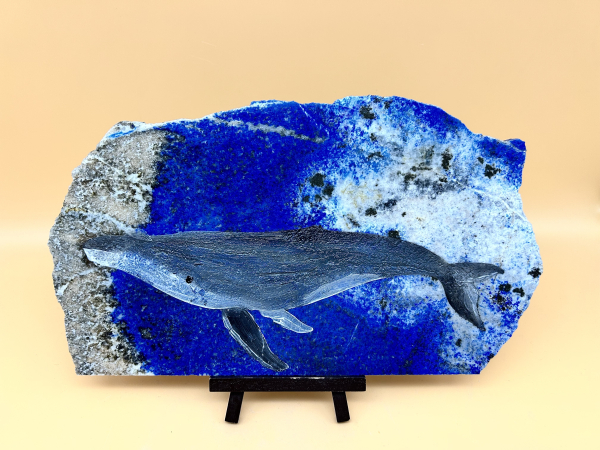Buckel-Wal auf Lapislazuli